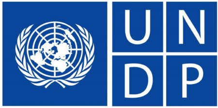 UNDP logo